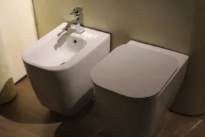 Czy warto zainwestować w WC z bidetem?